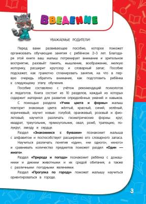 Годовой курс занятий. Для детей 2-3 лет